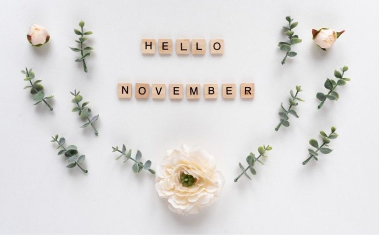 Dates clés du mois de novembre 2021