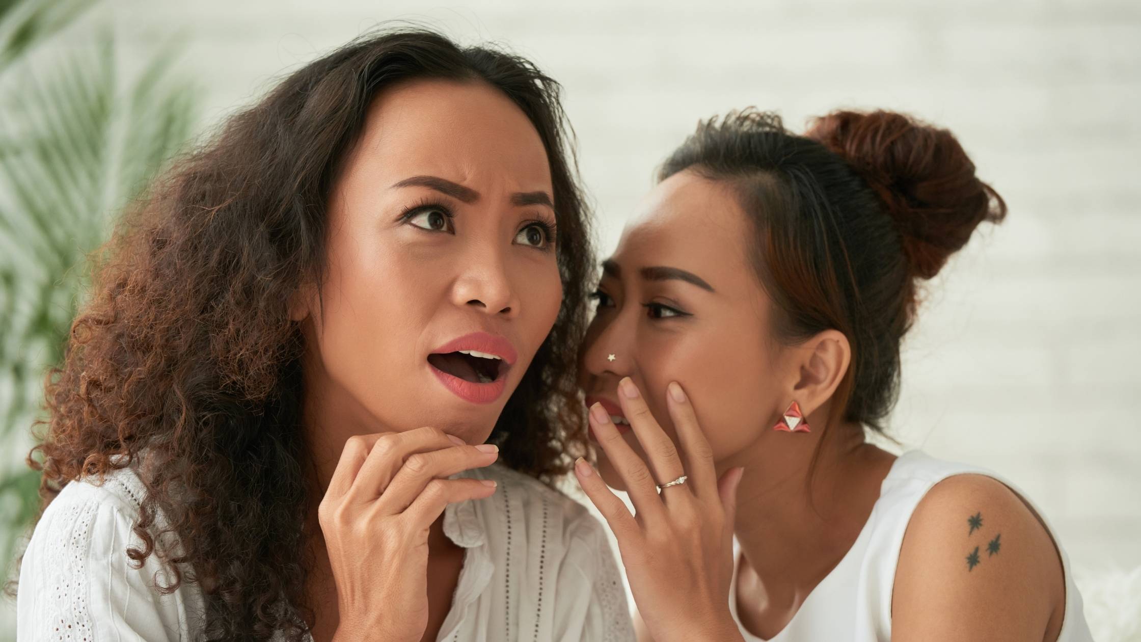 vérités sur l'entrepreneuriat - TALENTY