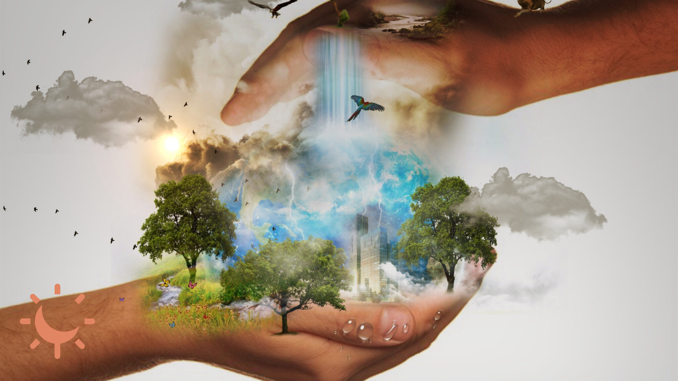 Le marketing responsable