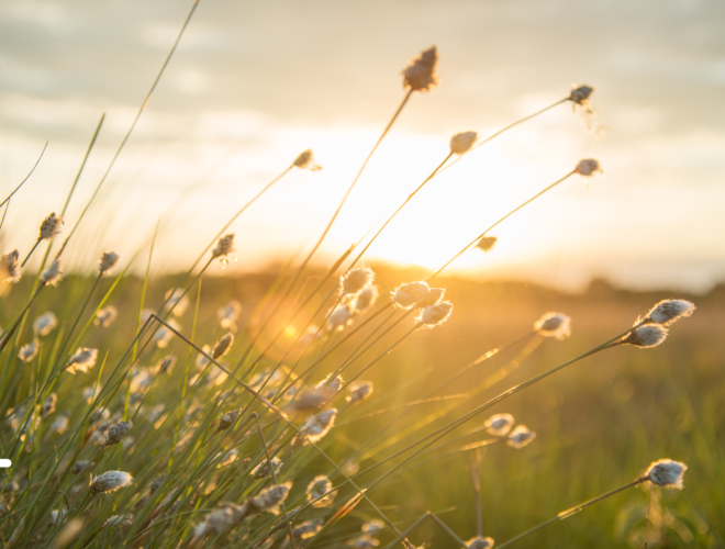 Se ressourcer pour mieux travailler l'importance de s'évader pour booster sa productivité et son bien-être