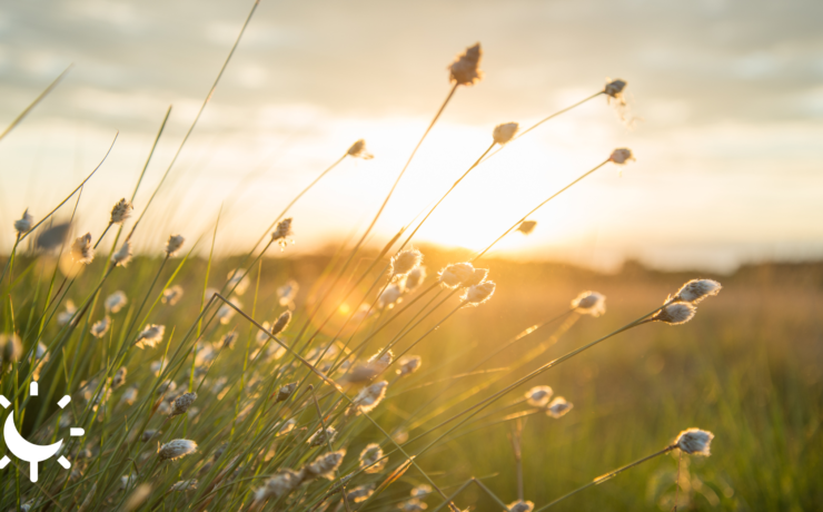 Se ressourcer pour mieux travailler l'importance de s'évader pour booster sa productivité et son bien-être