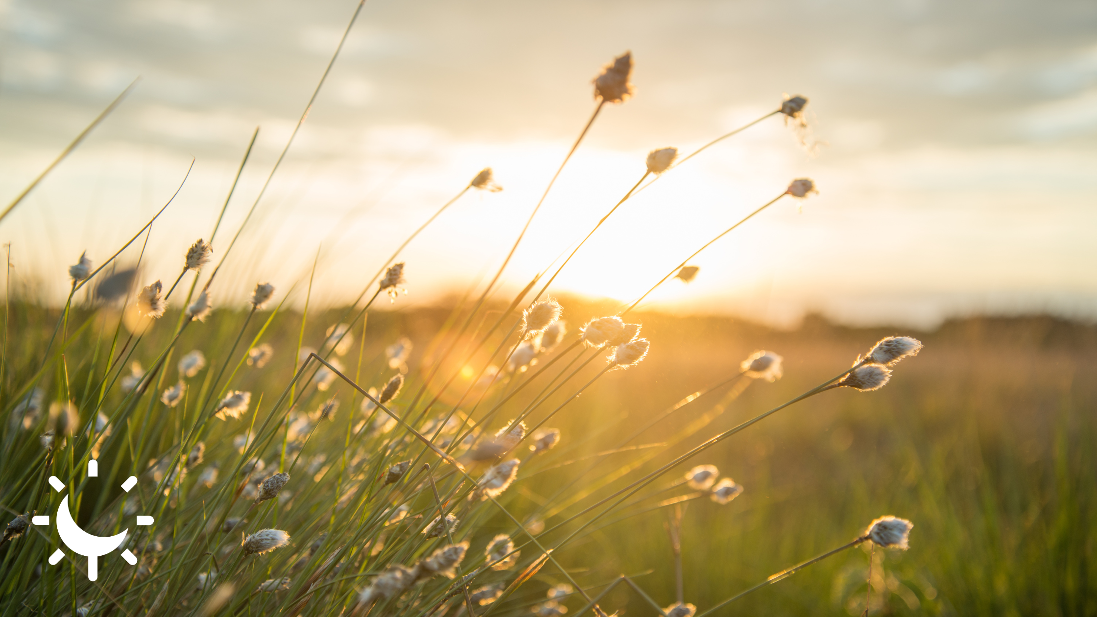 Se ressourcer pour mieux travailler l'importance de s'évader pour booster sa productivité et son bien-être