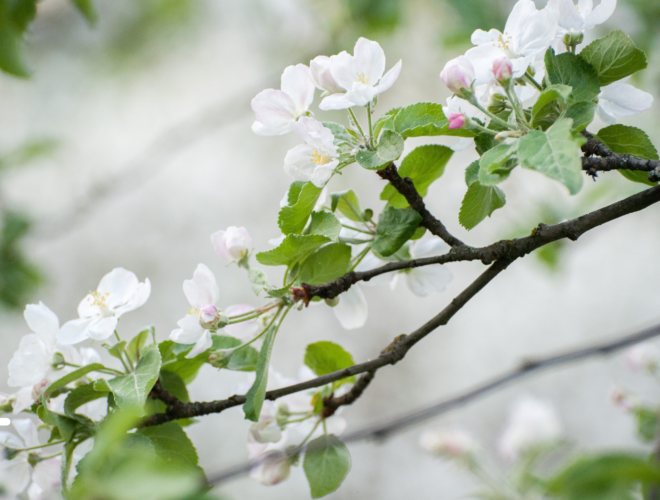 Calendrier marketing mai 2023 les dates clés à exploiter pour votre communication et vos opérations marketing