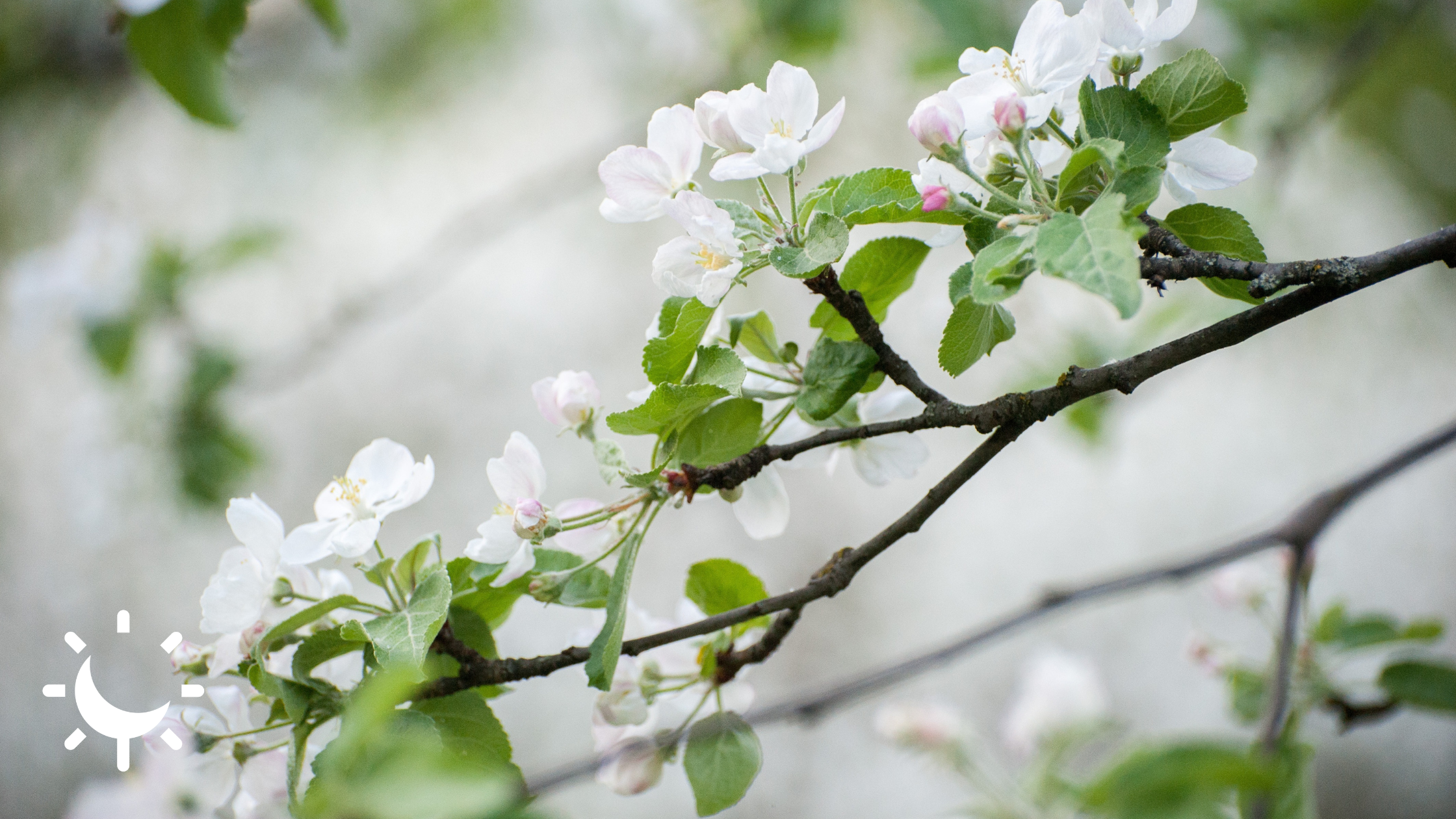 Calendrier marketing mai 2023 les dates clés à exploiter pour votre communication et vos opérations marketing